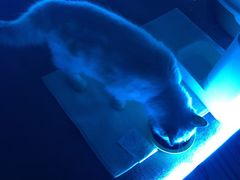 -零纪元VR体验馆·桌游(黄浦店)