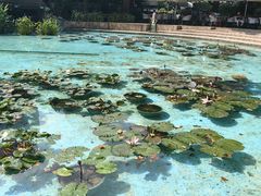-静安公园(静安寺街道)