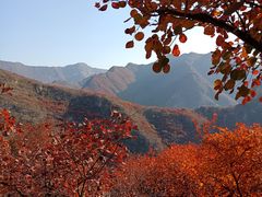 -周口店坡峰岭风景区