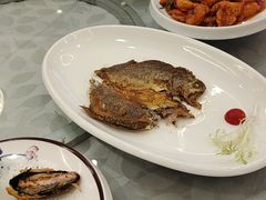 -鹭园酒家·四十年老字号