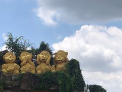 -云南野生动物园