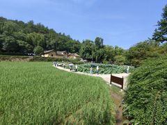 -韶山毛泽东同志故居
