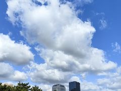 -幸福门