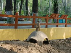 -北京野生动物园