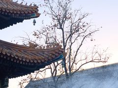 -雍和宫