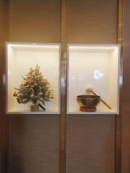 -栖SPA·ONDA ·海菲秀·皑皑科技美肤中心