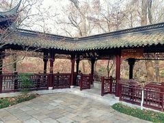 -三姐酒酿(老门东店)