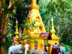 -莫里热带雨林景区