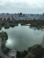 -中谷小南国花园酒店·宴会厅