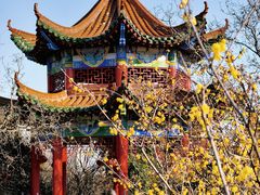 -开福禅寺