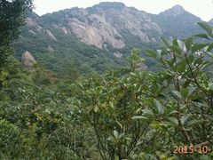 -象头山国家级自然保护区