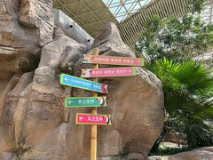 -杭州开元森泊度假乐园