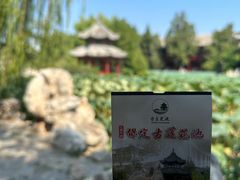 -莲池书院博物馆