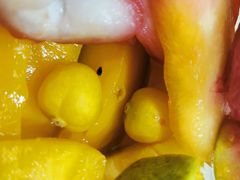 -老炳·七丛松甘草水果