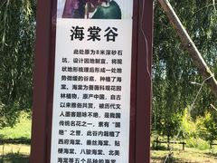 -永定河休闲森林公园