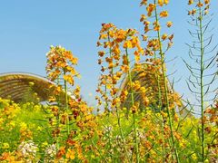 -中国天府农业博览园