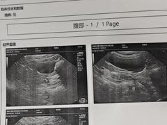 -宠颐生斯嘉宠物医院·急重症·心内科(谷阳北路分院)