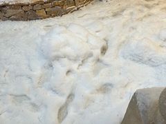 -Lamant Manor已闻花名关於蓝