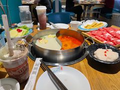 -青瓷火锅料理(西单大悦城店)