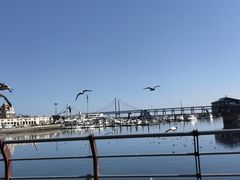 -大连圣亚海洋世界