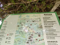 -靖西鹅泉风景区