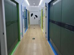 -金色雨林·专注力情商思维感统(海岸城八方汇中心)