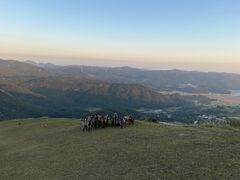 -大姆山草场