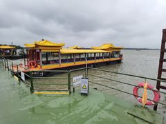 -溱湖国家湿地公园