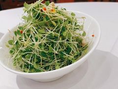-峨嵋酒家总店(车公庄店)