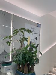 -LJOY丽锦造型·烫发染发