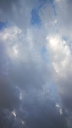 -Early Rider 儿童自行车(蓝色港湾店)