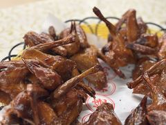 -百利鸽王(紫薇路店)