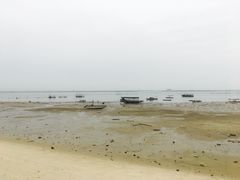 -北海金海湾红树林生态旅游区