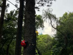 -人民公园(罗湖区)