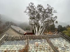 -潭柘寺景区