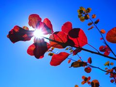 -北京西山国家森林公园