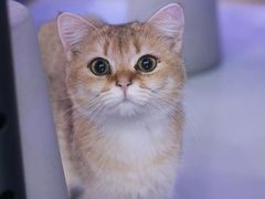 -极木²邸 人与宠物·互动社区