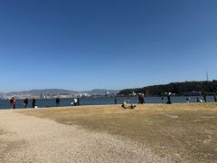 -洱海月湿地公园