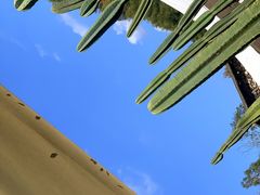 -MOJ coffee(瓯海泽雅水碓坑店)