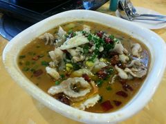 -焯明脆肉鲩世家(金沙洲店)