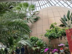 -郑州植物园