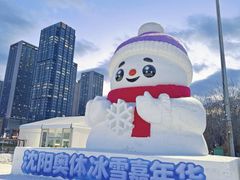 -沈阳奥体冰雪嘉年华