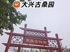 -御林古桑园