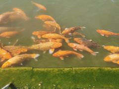 -北京奥林匹克公园