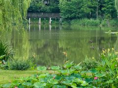 -沐仙湖湿地公园
