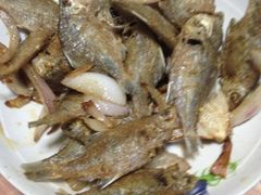 iphone_upload_pic-老品芳