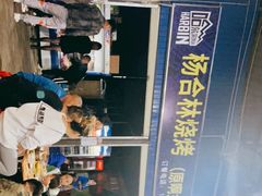 -杨合林啊兰烤鱼