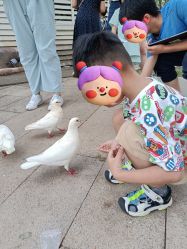 -玄武湖景区-情侣园游乐场