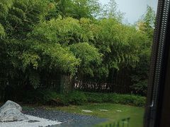 -西安凯悦酒店·湖畔中餐厅