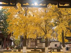 -郑和公园